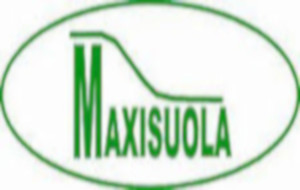 sponsor-maxisuola.jpg